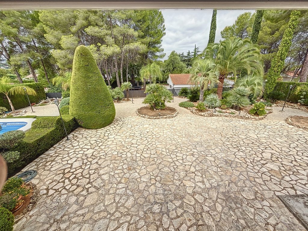 PinoGrande-1726220445_1726222959_22990_aa9d3e2