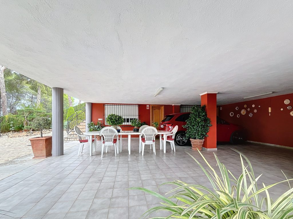 PinoGrande-1726220445_1726223222_23247_8db3565