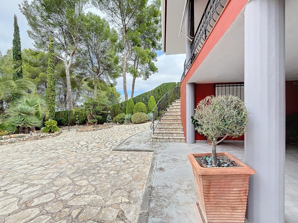 PinoGrande-1726220445_1726223247_23277_446f9c4