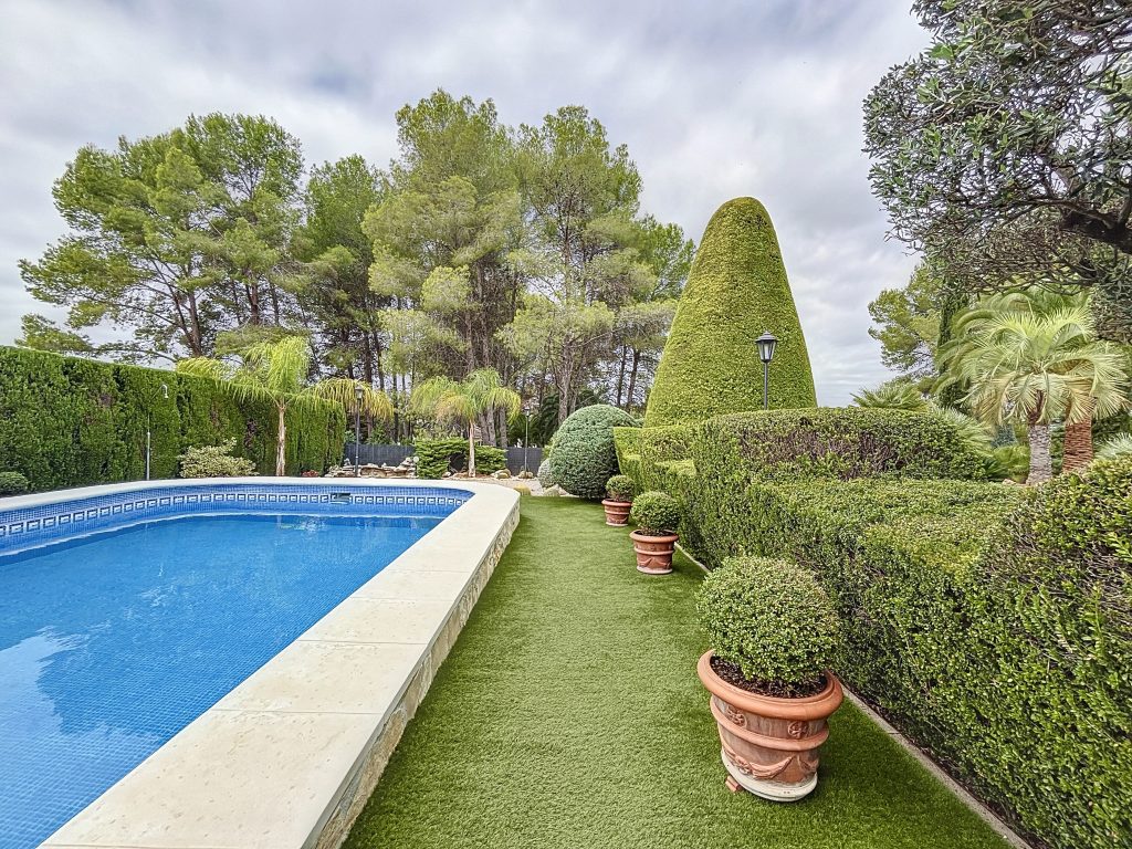 PinoGrande-1726220445_1726223313_23332_24ea330