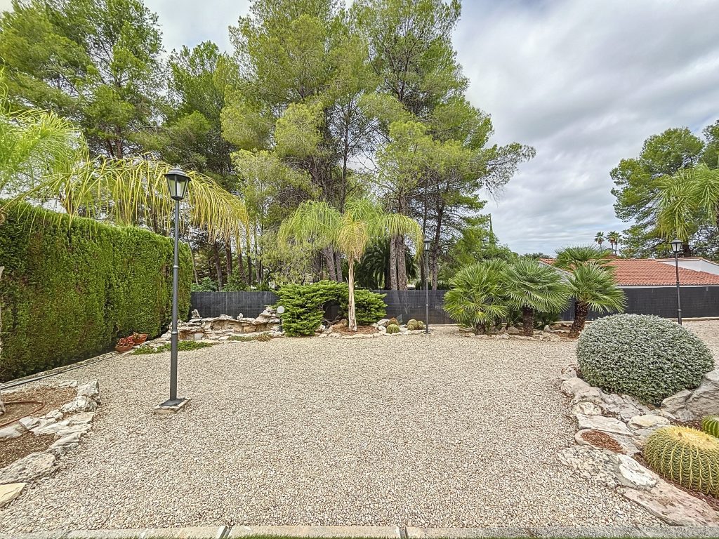 PinoGrande-1726220445_1726223332_23364_2746831