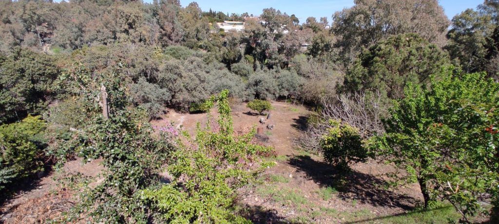 WhatsApp Image 2025-06-16 at 09.12.10 (3)