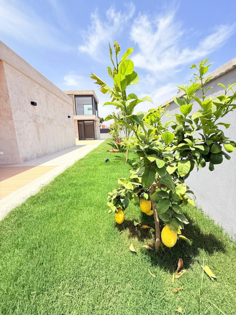 ec6efe4e-edf0-4538-831a-30fef9c710bd